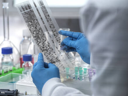 Genetic Research, Scientist viewing an autoradiogram gel during an experiment in the laboratory. Genomics, medicine, cure, vial, new ideas, bespoke, tailor made healthcare, individual, DNA, electrophoresis gel, genetic finger print, DNA profile, genetics, biotechnology, biomedicine, biology, human DNA, DNA testing, genetic sequence, chemistry, future science, genome, analysis, - ABRF01163