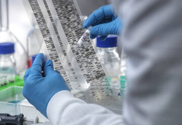 Genetic Research, Scientist holding a DNA sample and viewing an autoradiogram gel during an experiment in the laboratory. Genomics, medicine, cure, vial, new ideas, bespoke, tailor made healthcare, individual, DNA, electrophoresis gel, genetic finger print, DNA profile, genetics, biotechnology, biomedicine, biology, human DNA, DNA testing, genetic sequence, chemistry, future science, genome, analysis, vial, sample research, genome. - ABRF01164