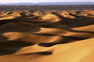 Sanddünen in der Wüste Sahara, Marokko, Nordafrika - DSGF02510