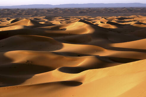 Footprints in the desert, Morocco, North Africa - DSGF02510