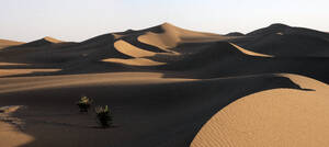 Morocco, Mhamid, Erg Chegaga, Erg M`Hazil, Sahara desert, sand dune - DSGF02511