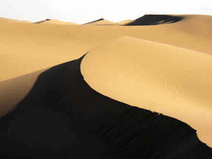 Sanddünen in der Wüste Sahara an einem sonnigen Tag in Marokko, Nordafrika - DSGF02515