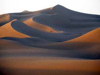 Morocco, Mhamid, Erg Chegaga, Erg M`Hazil, Sahara desert, sand dune - DSGF02517