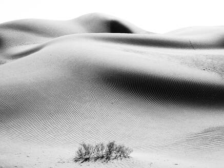 Sanddünen der Wüste Sahara in Marokko, Nordafrika - DSGF02518