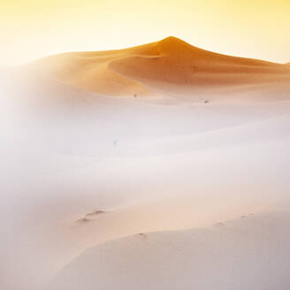 Morocco, Mhamid, Erg Chegaga, Erg M`Hazil, Sahara desert, sand dune - DSGF02524