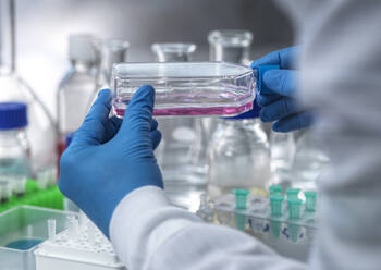 Cell Research, Scientist preparing cell cultures in a flask for cutting edge pharmaceutical research. Cell jar, cell research, cells, growing, biology biotechnology genetic research, cell biology, cell editing stem cell therapy, biomedicine, pharmaceutical research, sample, experiment, advancement, new medicines, future science, STEM, innovation, lab equipment, gloved hand, - ABRF01172