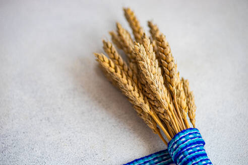 Ein ordentlich gebündelter Strauß goldener Weizenähren, gebunden mit einer blauen und violetten Schnur, vor einem neutral strukturierten Hintergrund. - ADSF54070