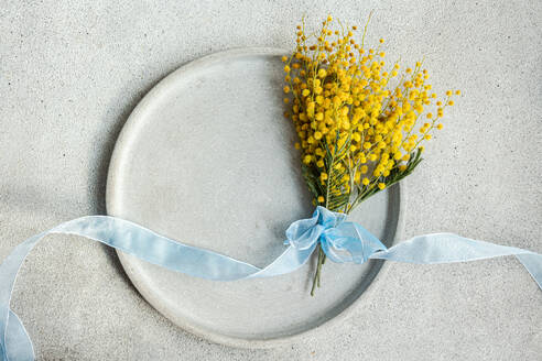 Top view of picturesque bouquet of mimosa flowers, delicately tied with a light blue ribbon, rests on a ceramic plate with a smooth concrete backdrop - ADSF54083