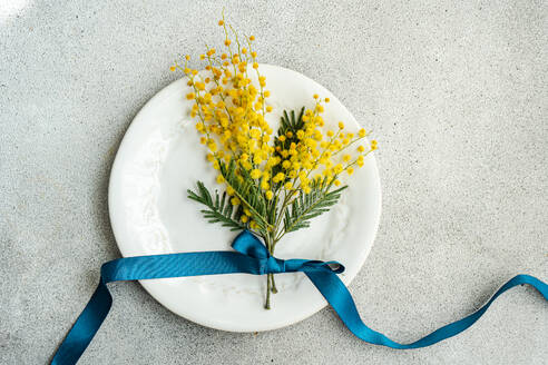 Von oben hält ein verschnörkelter weißer Teller einen leuchtenden Strauß Mimosenblüten, elegant gebunden mit einem tiefblauen Band auf einer strukturierten grauen Oberfläche - ADSF54086