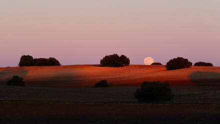 Full moon rising over a serene hillside, casting a gentle glow on the landscape at dusk - ADSF54124