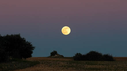 A glowing full moon rises in the twilight sky above a serene rural scene, featuring trees and a rustic field - ADSF54129