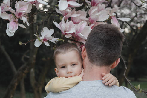 Croatia, Zagreb. lonely father and son in blooming magnolia trees - KVBF00081