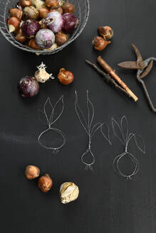 Flower bulbs and bulbs made of wire - GISF01061