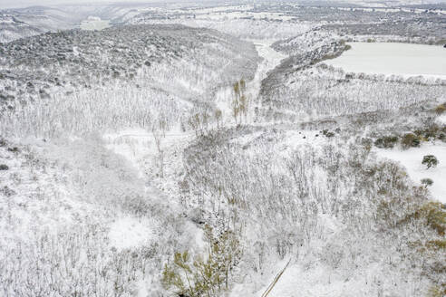 Die Luftaufnahme fängt die ruhige Schönheit eines in Neuschnee gehüllten Eichenwaldes ein, in dem sich ein Weg durch die winterliche Landschaft schlängelt - ADSF54387