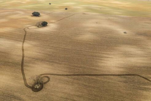 Eine Luftaufnahme zeigt einen Serpentinenweg, der sich durch ein weites goldenes Feld mit vereinzelten Bäumen schlängelt. - ADSF54390