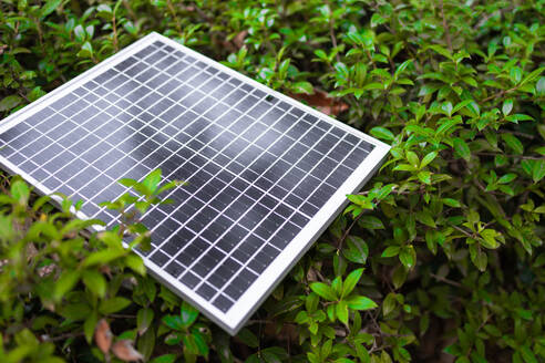 A small, eco-friendly solar panel sits nestled among dense green leaves, symbolizing renewable energy and sustainable living. - ADSF54463