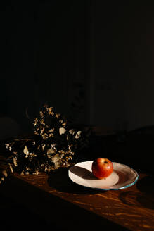 A solitary apple rests on a plate illuminated by a sunbeam against a dark backdrop, with a bouquet of dried flowers adding texture to the scene - ADSF54518