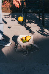 Unkenntlich gemachte Person, die an einem sonnigen Tag eine frische Zitrone pflückt und sie in einer wiederverwendbaren Tasche zu einer Sammlung hinzufügt. - ADSF54595