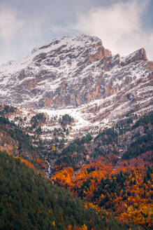Eine farbenfrohe Herbstszene in den Pyrenäen: Die Bäume im Bujaruelo-Tal leuchten in feurigen Orangetönen, während der erste Schnee die Berggipfel bestäubt. - ADSF54641