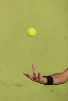 Cropped unrecognizable man's hand tossing a tennis ball against a green background. - ADSF54733