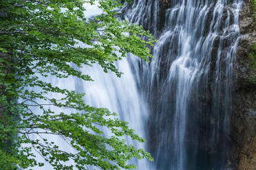 Üppig grünes Laub umrahmt die ruhige Kaskade eines Wasserfalls im Ordesa-Tal, einem Teil des Nationalparks Ordesa y Monte Perdido in Huesca - ADSF54760