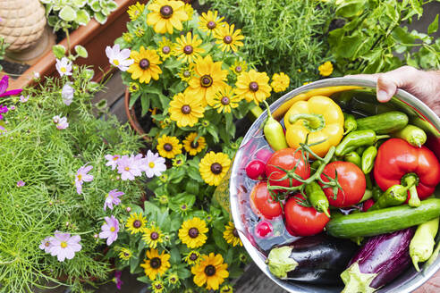 Hände eines Mannes, der Balkonblumen mit Gemüsewaschwasser gießt - GWF08025