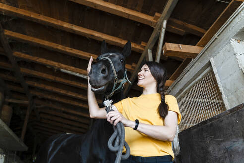 Lächelnder Trainer streichelt schwarzes Pferd im Stall - NDEF01623