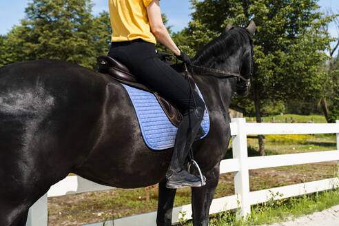 Trainer reitet schwarzes Pferd auf einer Ranch an einem sonnigen Tag - NDEF01628