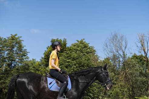 Reitlehrer reitet schwarzes Pferd auf einer Ranch an einem sonnigen Tag - NDEF01633