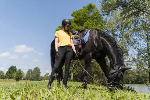 Trainer steht bei einem schwarzen Pferd, das an einem sonnigen Tag weidet - NDEF01640