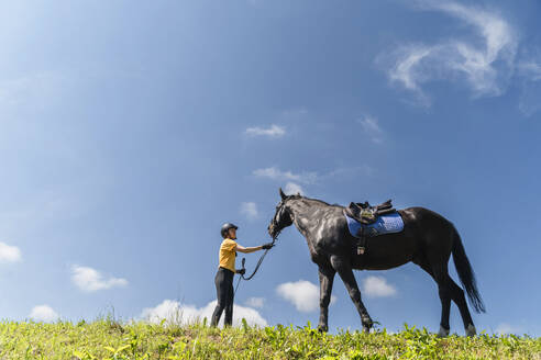 Trainer mit schwarzem Pferd an einem sonnigen Tag - NDEF01641