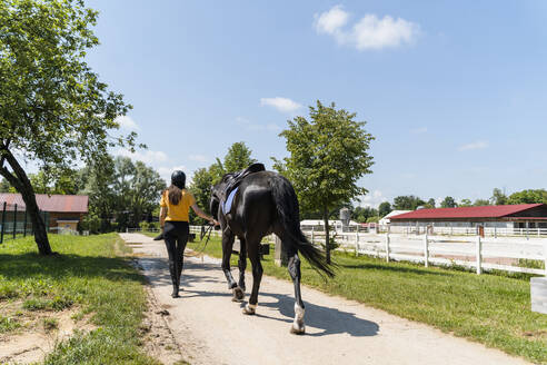 Trainerin geht mit schwarzem Pferd auf dem Fußweg am Manegenplatz spazieren - NDEF01653