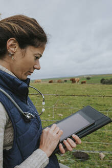 Tierarzt mit Tablet-PC auf dem Bauernhof - DMGF01312