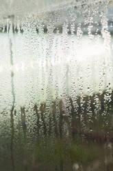 Water droplets on window glass - DSHF01672