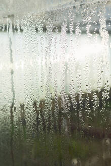 Wassertropfen auf Fensterglas - DSHF01672