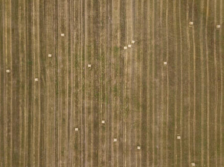 Luftaufnahme von landwirtschaftlichen Flächen mit geometrischen Mustern und ruhiger Landschaft, Uglich, Jaroslawskaja Oblast, Russland. - AAEF28145