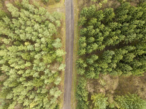 Luftaufnahme eines Waldweges, Kernen im Remstal, Deutschland. - AAEF28246