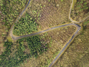 Luftaufnahme eines Waldweges, Kernen im Remstal, Deutschland. - AAEF28247