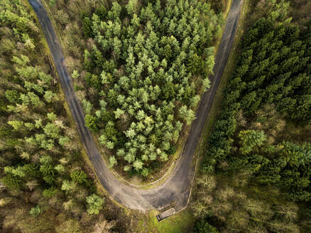 Luftaufnahme eines Waldweges, Kernen im Remstal, Deutschland. - AAEF28248