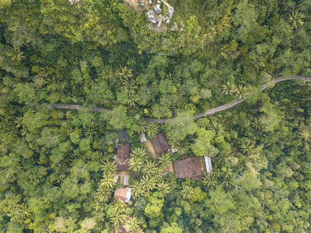 Aerial view of Indonesian Jungle with Huts, Kabupaten Purworejo, Jawa Tengah, Indonesia. - AAEF28254