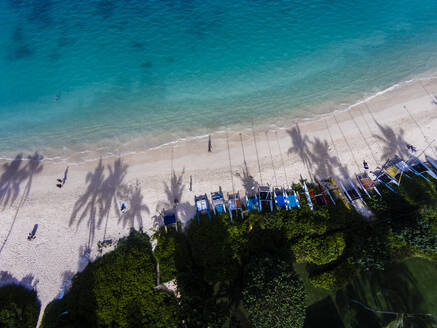 Aerial view of palm tree shadows, people and sailboats on Lanikai Beach, Oahu, Hawaii. - AAEF28303