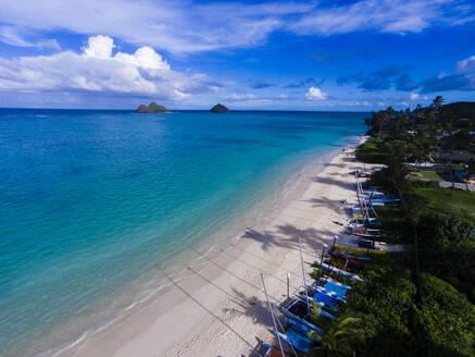 Aerial view of coconut palm tree shadows cast onto Lanikai Beach, Oahu, Hawaii. - AAEF28304