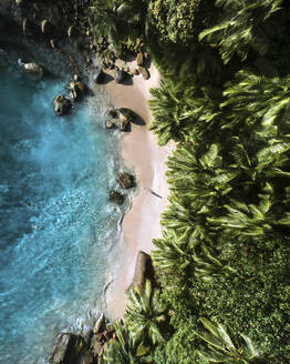 Luftaufnahme von Tusculum Beach, Insel Mahe mit klarem türkisfarbenem Wasser und üppigem Grün, Seychellen. - AAEF28317