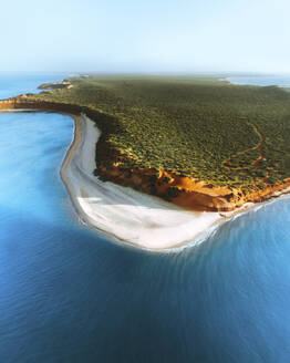 Luftaufnahme der Shark Bay, Westaustralien. - AAEF28322