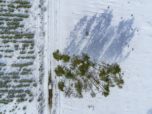 Luftaufnahme einer verschneiten Winterstraße, umgeben von Kiefern, Nahabino, Moskauer Oblast, Russland. - AAEF28338