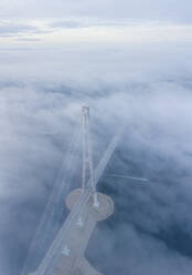 Luftaufnahme von Wladiwostok, der Bucht des Goldenen Horns und der Russki-Brücke, Primorski-Region, Russland. - AAEF28391