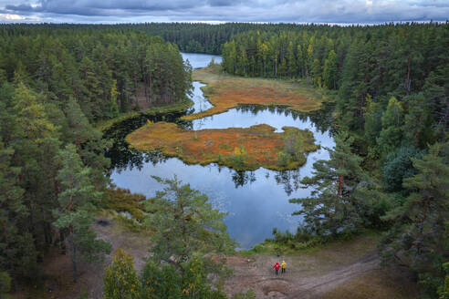 Luftaufnahme des wunderschönen Ozero Berestovoye in der ruhigen Wildnis Kareliens, Russland. - AAEF28394