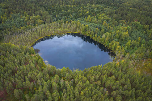 Aerial view of the lush, serene forest and lake in Gromovskoe, Karelia, Russia. - AAEF28407