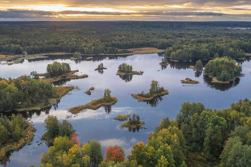 Aerial view of Vuoksi River with golden hour sunset over Vodlozero National Park, Melnikovskoe, Karelia, Russia. - AAEF28410