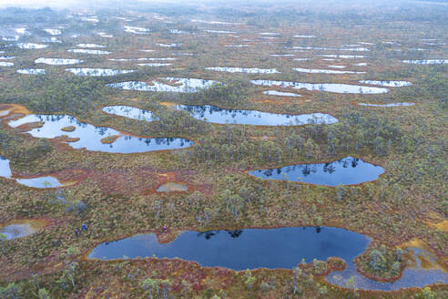 Aerial view of Ozero Rybachye lake, Roschinskoe, Karelia, Russia. - AAEF28415